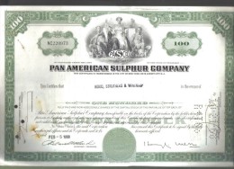 Scripofilia : Pan American Sulphur Company 100 Shares Delaware  1947 Doc.042 - Fliegerei