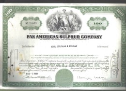 Scripofilia : Pan American Sulphur Company 100 Shares Delaware  1947 Doc.042 - Aviation
