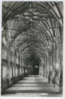 Gloucestershire                 Gloucester     The Cloisters Cathédral - Gloucester