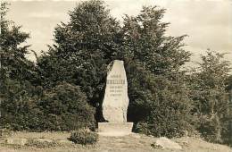 SEMPACH. IL MONUMENTO A  WINKELRIED. CARTOLINA ANNI '40 - '50 - Sempach