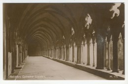Wilshire          Salisbury         Cathédral Cloisters - Salisbury