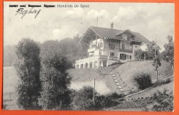 AFX-29 Hotel Pension Alpina, Freyberg Hondrich Ob Spiez.  Cachet Spiez 1924 - Spiez