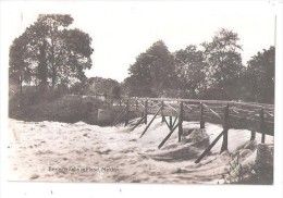 RP Beeleigh Falls In Flood PPC Nr MALDON UNUSED ESSEX - Sonstige & Ohne Zuordnung