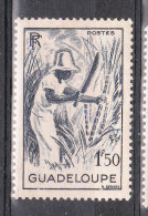 GUADELOUPE YT 202 Neuf - Unused Stamps