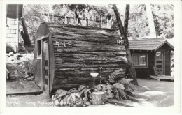 Redwood Highway California, Restroom In Giant Log, Toilets, C1940s Vintage Real Photo Postcard - American Roadside