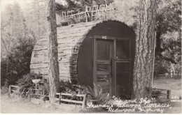 Redwood Highway California, Grundy's Redwood Terraces Restroom In Giant Log, Toilets, C1940s Vintage Real Photo Postcard - American Roadside