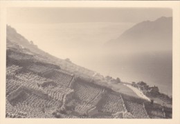 Photo Originale 1954 Corniche Du Lac Léman Grandvaux Vignoble - Grandvaux