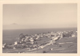 Photo Originale 1954 Corniche Du Lac Léman Grandvaux Vignoble Et Village - Grandvaux