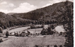 Landsteiner Mühle - Taunus