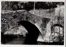 Le Gard Touristique - CHAMBORIGAUD - Pont De Rastel - Chamborigaud