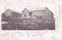 Feldberg Im Taunus, "Gruss Vom Feldberg I.T." - Taunus