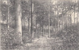 Orroir - ( Mont De L'Enclus ) Route Sous Bois - 1912 - Mont-de-l'Enclus