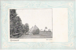 Spreewald Bei Lehde Nahe Lübbenau Bauern Bei Der Heuernte Staken Jugendstil 1905 Ungeteilte Rückseite - Luebben (Spreewald)