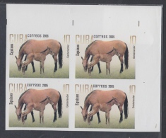2005.120 CUBA 2005 MNH IMPERFORATE PROOF BLOCK 4. CABALLOS. HORSE - Imperforates, Proofs & Errors