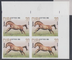 2005.122 CUBA 2005 MNH IMPERFORATE PROOF BLOCK 4. CABALLOS. HORSE - Non Dentelés, épreuves & Variétés