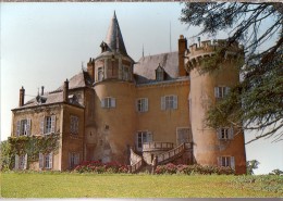 LEZOUX: Château De Cropte - Lezoux