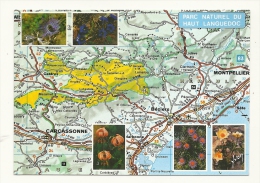 Cp, Carte Géographique, Parc Naturel Du Haut Languedoc - Carte Geografiche