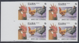 2006.128 CUBA 2006 MNH IMPERFORATED PROOF BLOCK 4. AVES DE CORRAL. PAJAROS. BIRD. GALLO. ROOSTER. - Imperforates, Proofs & Errors