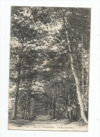 Cp , 94 , Bois De GROSBOIS , L'allée Couverte , Voyagée 1907 - Other & Unclassified