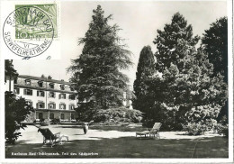 Schinznach Bad - Kurhaus, Teil Des Südparkes         1953 - Schinznach 