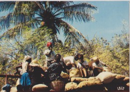 AMERIQUE,ANTILLES,HAITI,i Le  Hispaniola,,ile Découvert Par Christophe Colombe,marché,market,pro Ducteur,paysan,vendeur - Haiti