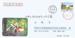 China 2006 Pu Ji Crested Ibis Nature Reserve PAP 2006-2700(PF)-0194 First Day Postal Stationary Cover - Storchenvögel