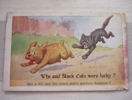 Who Said Black Cats Were Lucky? - Mc Gill, Donald