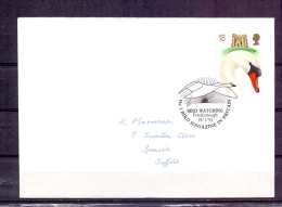 Great Britain  - Bird Watching - Peterborough 19/1/93  (RM57564) - Cisnes