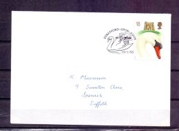 Great Britain  - Stratford Upon Avon 19/1/93  (RM57568) - Cygnes