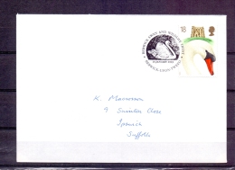 Great Britain  - Berwick Swan And Wildlife Trust -  19/1/1993  (RM57569) - Cygnes