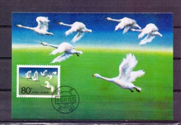 China - 1983   (RM5776) - Cisnes