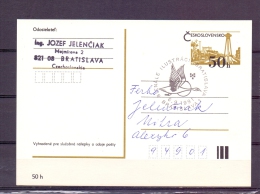 Ceskoslovensko - Bienale Ilustracion  - Bratislava 6/9/1991  (RM5811) - Cygnes