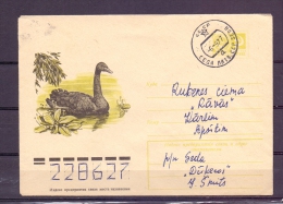 Noyta CCCP -  6/9/77  (RM5820) - Swans