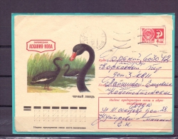 Noyta CCCP     (RM5823) - Swans