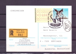 Rep. Österreich  - Rust, Burgenland , Stadt Der Störche -  Ersttag -  14/4/1989 (RM5839) - Picotenazas & Aves Zancudas