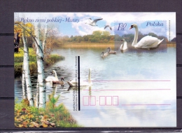 Polska -   (RM5856) - Cisnes