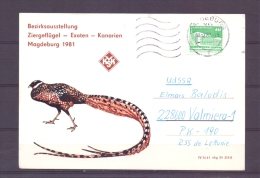 D.D.R. - Bezirkausstellung - Magdeburg 1981   (RM6410) - Paons