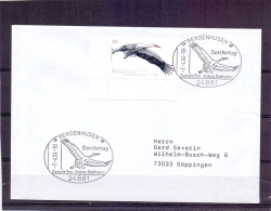 Deutschland -  Storchentag - Bergenhusen 7/4/2004   (RM6586) - Storchenvögel