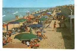 TORRETTA  DI  FANO . Spiaggia - Fano