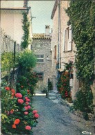 MOUGINS  - Lou Caladou - - Mougins