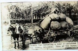 COUSIN FUD MARKETING A LOAD OF POTATOES VAN BUREN ARKANSAS  HOME OF BOB BURNS  REAL PHOTO POSTCARD - Altri & Non Classificati