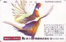 Télécarte Japon / 110-160180 - Oiseau FAISAN - PHEASANT Bird Japan Phonecard - FASAN Vogel - 3159 - Hühnervögel & Fasanen