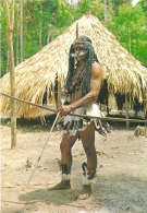 BR - Indios Do Brasil - Tribo Dos Ipixunas / Brazilian Indians "Ipixunas" Tribe Amazone Region  / Regiao Amazonica - Sonstige