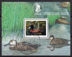 WWF Südafrika Transkei Block 9 O 8€ Vögel See Oxyura Puntata Bloque Hojas Bloc Philatelic Bird Sheet Bf South Africa RSA - Gebraucht