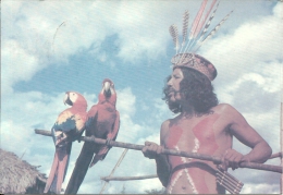 BRASIL  BRASILE  Parque Nacional Do Xingu  Indio Kayabi Adornado   Araras - Autres