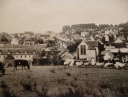 CPSM Saint Nicolas Du Pelem. Vue Générale - Saint-Nicolas-du-Pélem