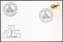 ARGENTINA NECOCHEA 1998 - CAMPAMENTO NACIONAL DE RAIDERS-SCOUTS MAYORES - Covers & Documents