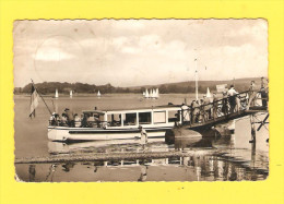 Postcard - Germany, Haltern Am See      (16216) - Haltern