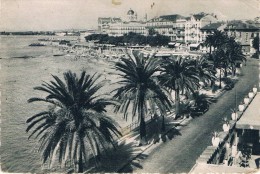 SAINT-RAPHAEL (Var) - Vue Générale Prise De L'Hôtel "des Algues" - LA COTE D'AZUR - Circulé 1951 - Saint-Raphaël