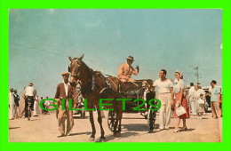 BARBADOS, B.W.I. - CABMAN AND TOURISTS - ANIMATED - - Barbades